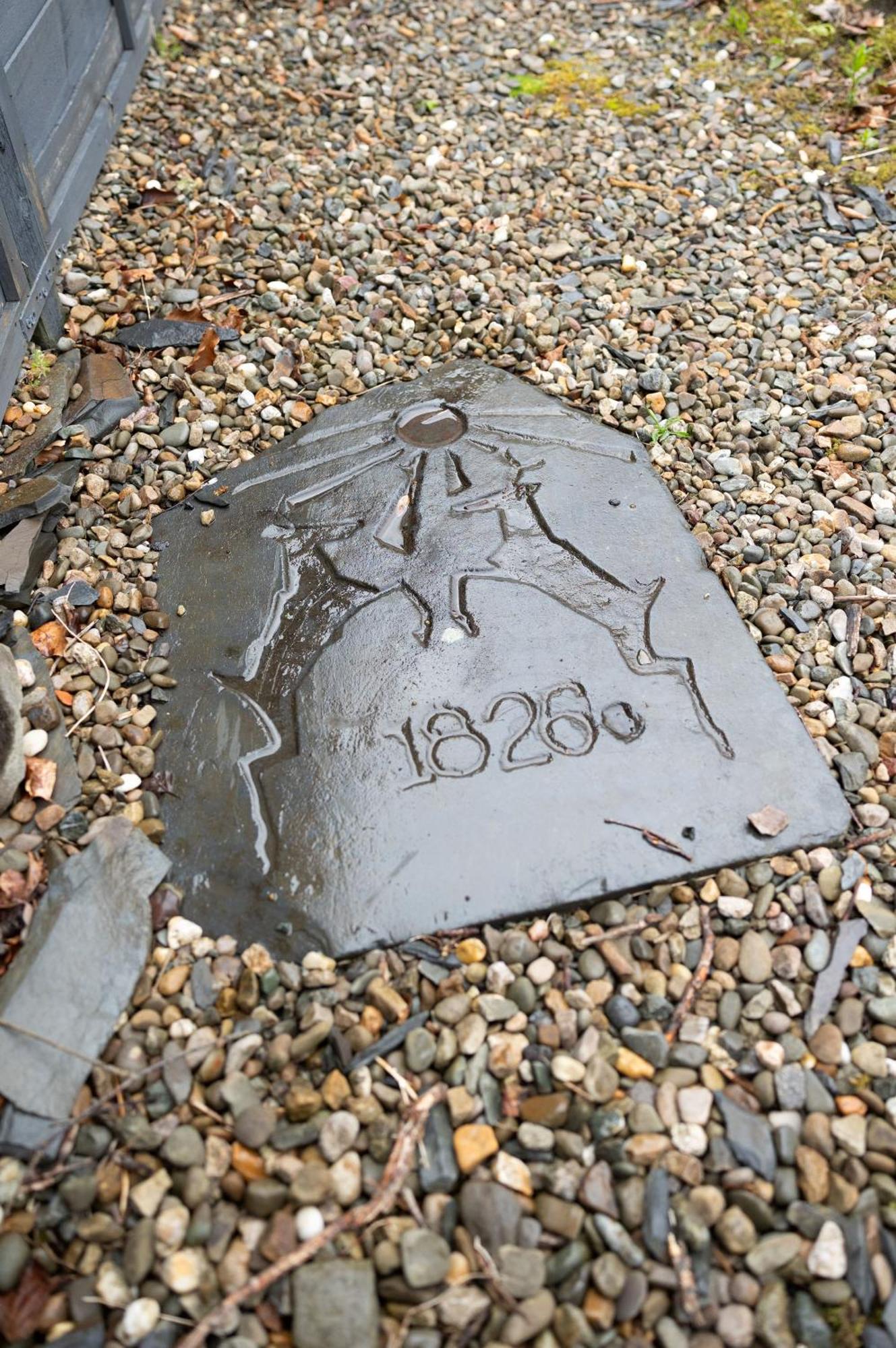 Deer House Βίλα Machynlleth Εξωτερικό φωτογραφία