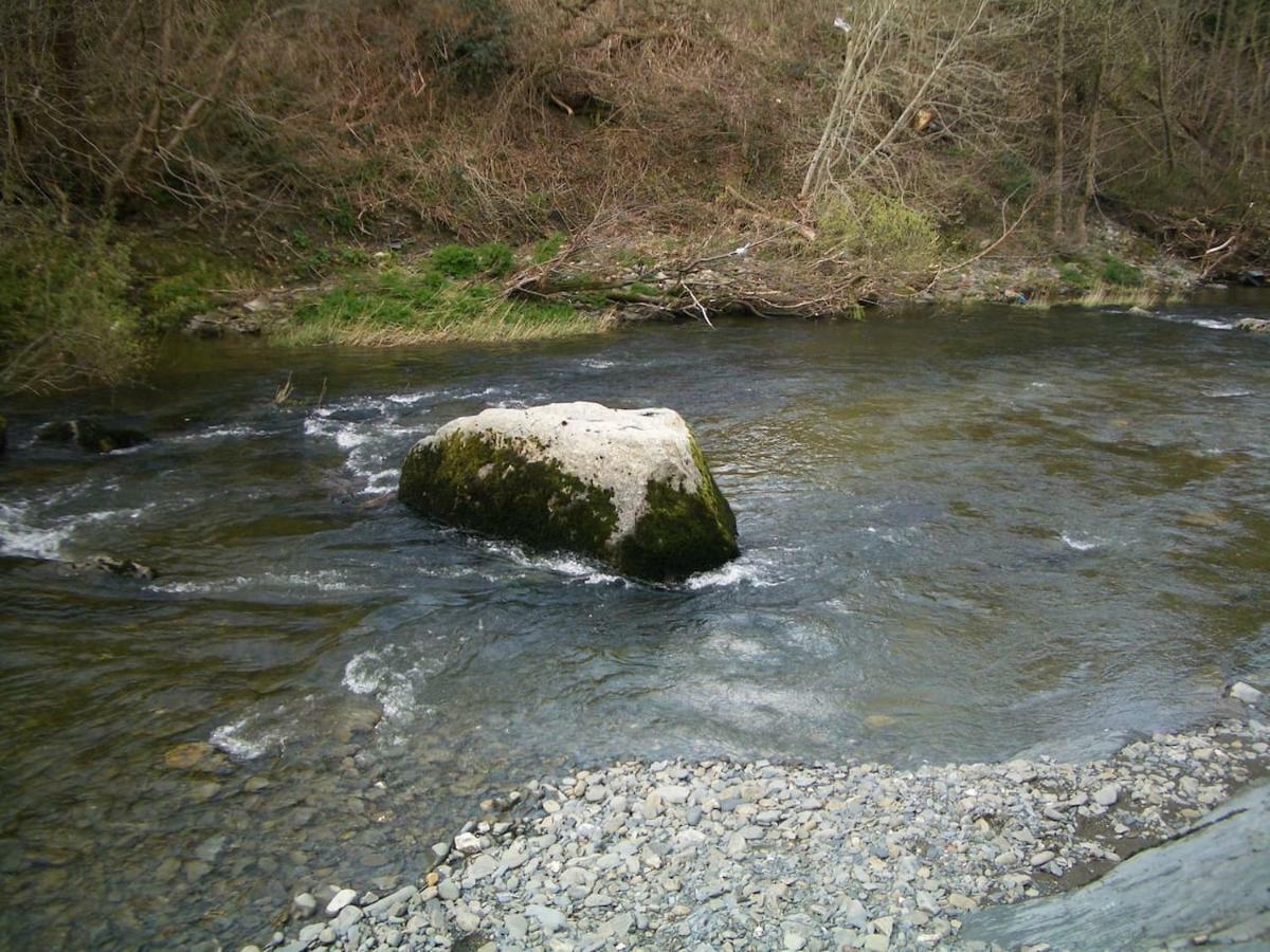 Deer House Βίλα Machynlleth Εξωτερικό φωτογραφία