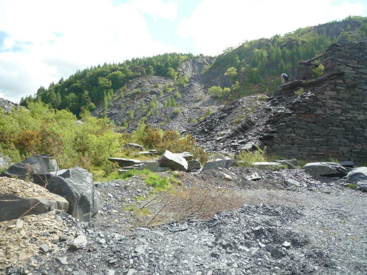 Deer House Βίλα Machynlleth Εξωτερικό φωτογραφία